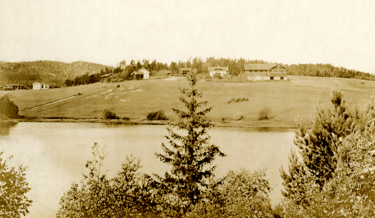 Bilde av Børte i Nordbygda, Lunde