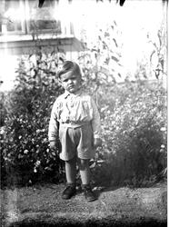 En liten gutt står i kortbukse ute i en hage.