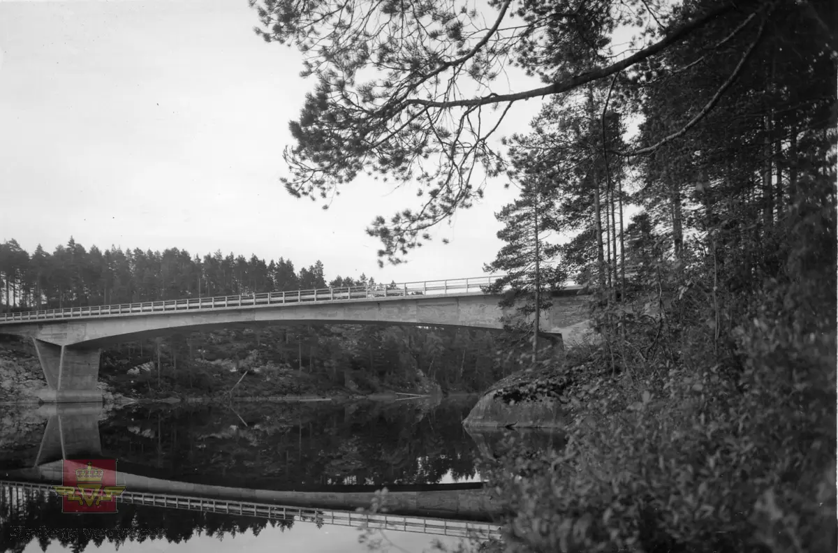 Moisund bru fv 419, frittframbygg-bru i Evje og Hornes kommune oppført 1969-1970. Lengde 108,3 m. Se "Referanser" lenger ned på siden.