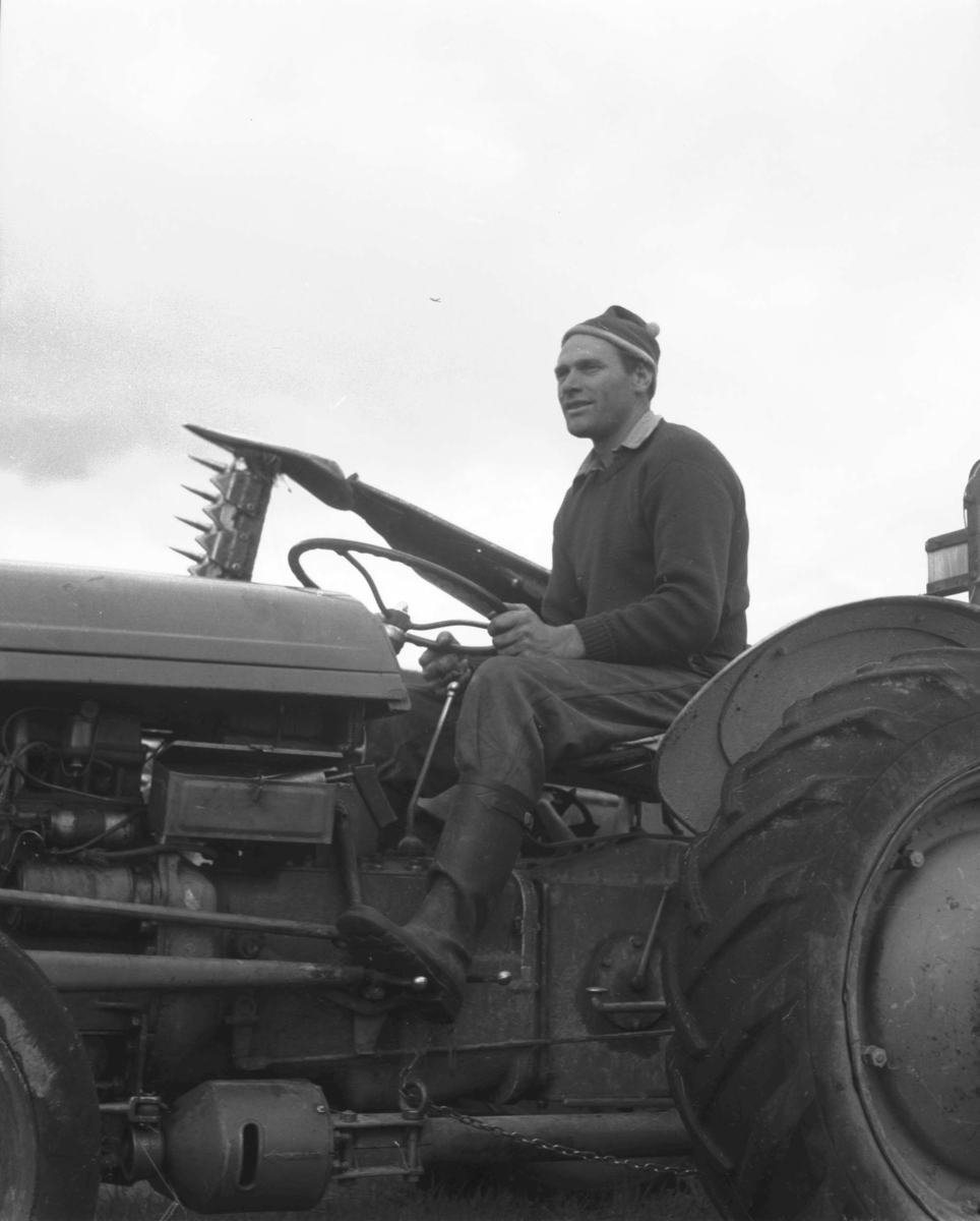 Alvdal, Portrett, Mann på traktor, Lue