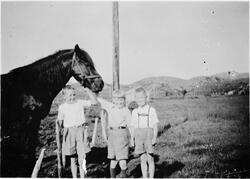 Hesten "Gilmats" og tre barn, Jøssund