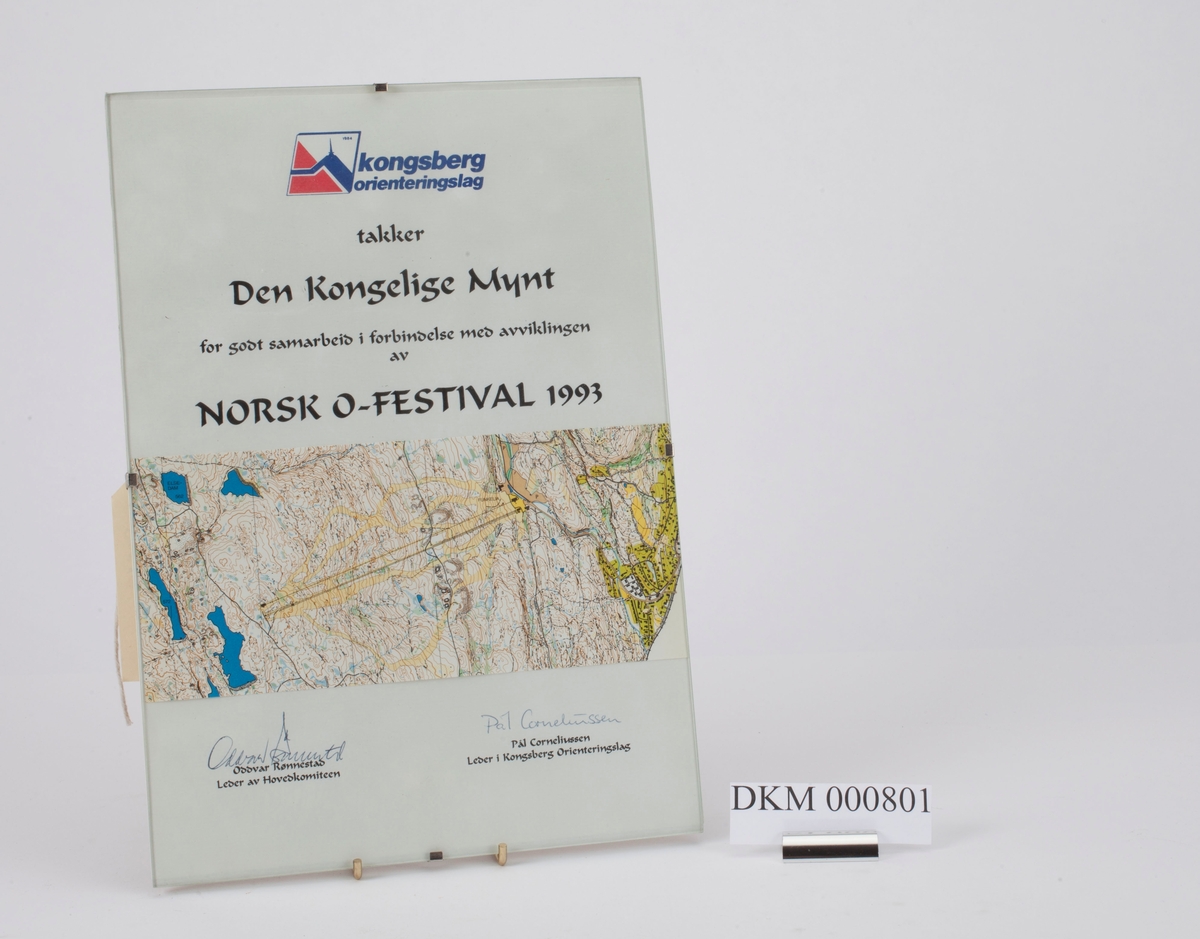 Ett kart over Funkelia og omegn i Kongsberg.