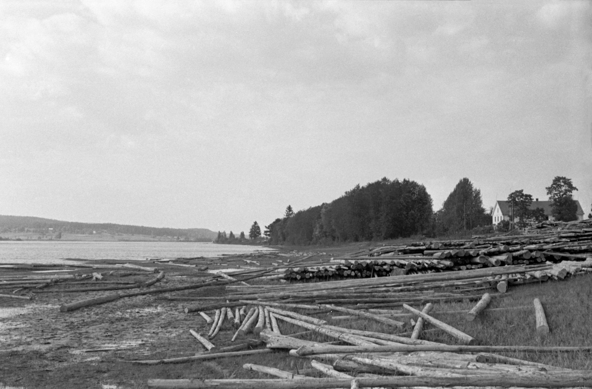 Søkketømmer i strandsonen mot Glomma ved Hovvelta i Vinger (Kongsvinger kommune) i Hedmark.  Fotografiet er tatt ved lavvann i 1954.  Bildet viser at det lå en del tømmer både i slammet i langs elva og i floer på den slake stranskråningen.  Tømmeret skulle sannsynligvis gis en viss tørk, før det på nytt ble slått på elva for videre fløting nedover vassdraget.  Til høyre i bildet ser vi våningshuset på en jordbrukseiendom, antakelig garden Hov. 