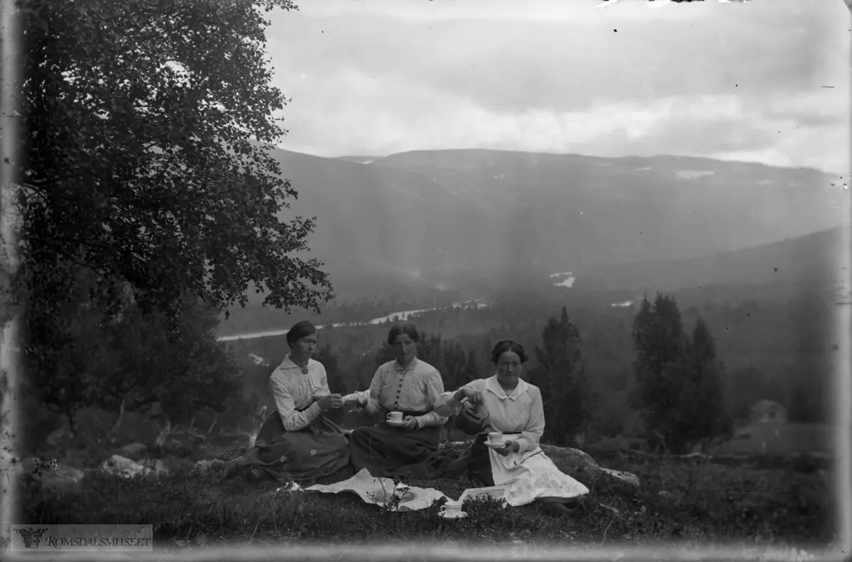 72. Tre damer på Furuholen. 26.08.1917.