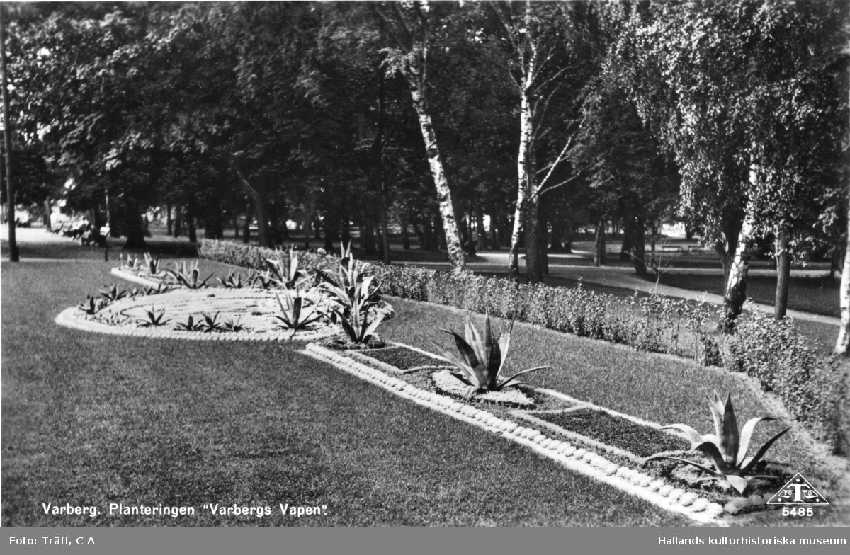 Vykort, "Varberg. Planteringen 'Varbergs Vapen' ". Järnvägsparken med kaktusplanteringen utmed Västra Vallgatan. Det var stadsträdgårdsmästare Oscar Johansson som 1942 startade traditionen med denna typ av mönsterrabatt i Varberg med just Varbergs vapen. Mönstret användes även 1948. SJ:s trädgårdsdirektör Frey Hellman utvecklade konsten att anlägga "tapetgrupper" redan under 1800-talets senare del. Man planterade låga växter till ett färgrikt mönster, liknande en tapet/matta. Sådana mönsterrabatter kom också att arrangeras med endast kaktusar och suckulenter. Tapetgrupper blev mycket populära, men till slut omoderna. Detta kulturarv vårdas emellertid fortfarande i Varberg och även i Norrköpings järnvägspark. I Varberg brukar motivet anspela på något för året aktuellt.
