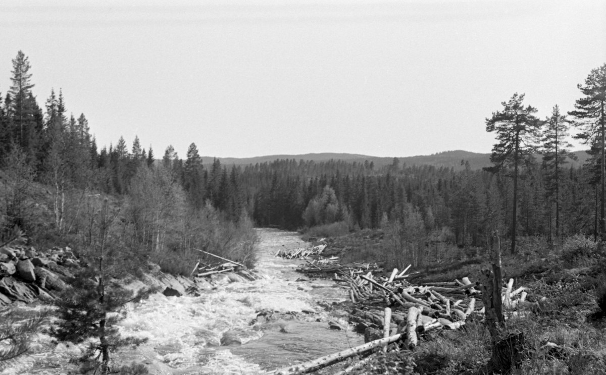 Tømmervase langs land. Knappervelta i Juråa, Nord-Odal, Hedmark. Elveløp. Fossestryk. Skog.