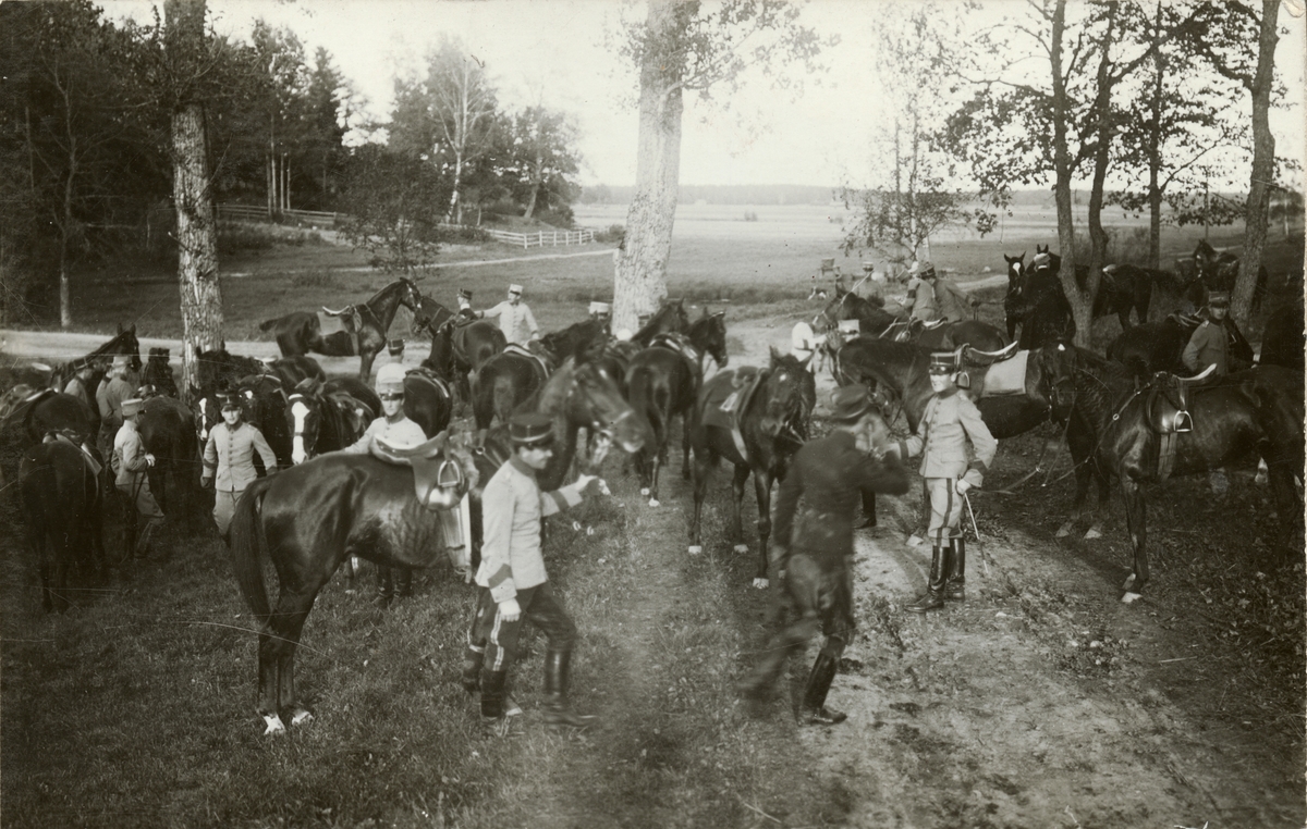 Soldater och hästar vid vägkanten.