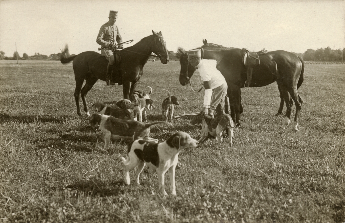 Soldater med hundar på övningsfält.