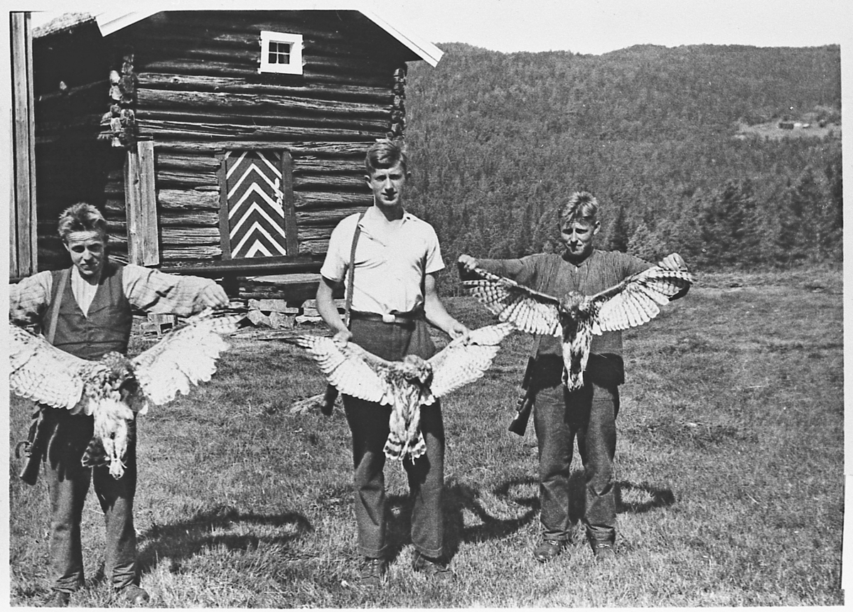 Fuglejegere på Vasslien, 1922. Fra venstre: Ole Flågan, Børre Mørch og Anders Flågan De står med hver sin hønsehauk. Fuglene ble skutt i en osp etter at jegerne hadde lokket med en pip. 