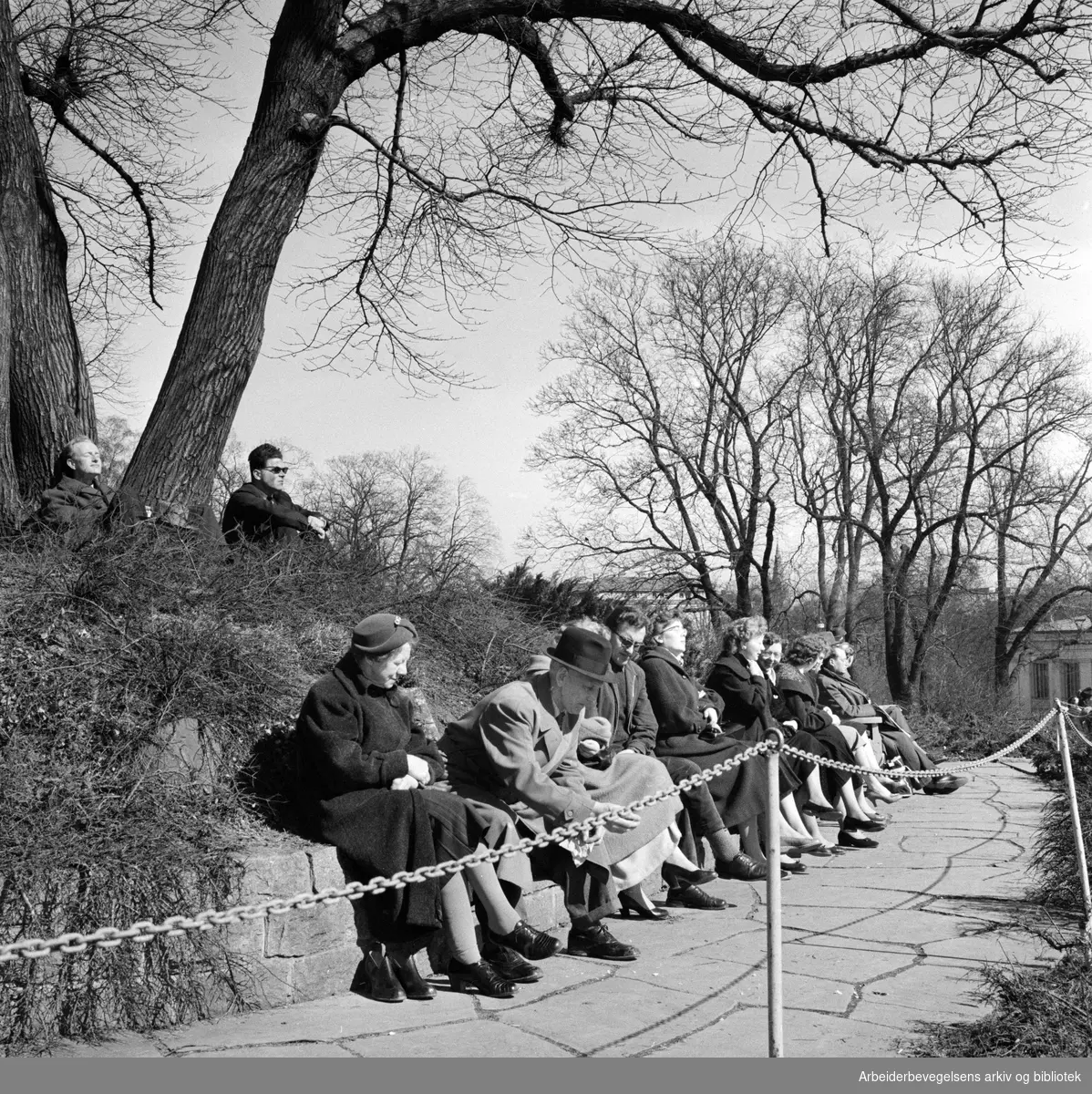 Vårstemning på Abelhaugen. Trangt om plassene på parkbenkene. April 1958..