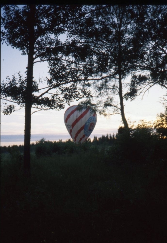 Vy över en skog.  En luftballong mot horisonten.