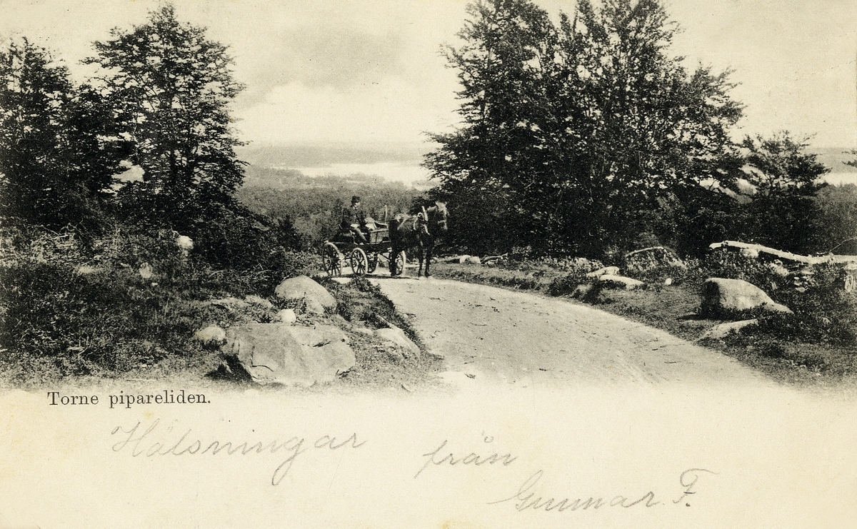 Torne, Pipareliden, 1902. Ett hästekipage strävar uppför backen. I bakgrunden skymtar Åsnen.