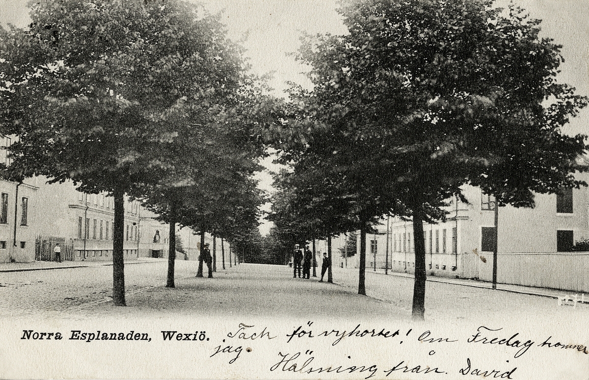 Allén m.m. på Norra Esplanaden, Växjö, med vy österut, 1905.
Till vänster kvarteret Bore, till höger kvarteren Tor och Gripen med korsningen till Kungsgatan. Några seminarister (?) (med studentmössor) pratas vid under träden.