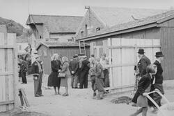 Plankegjerdet settes opp rundt interneringsleiren i Lerviken
