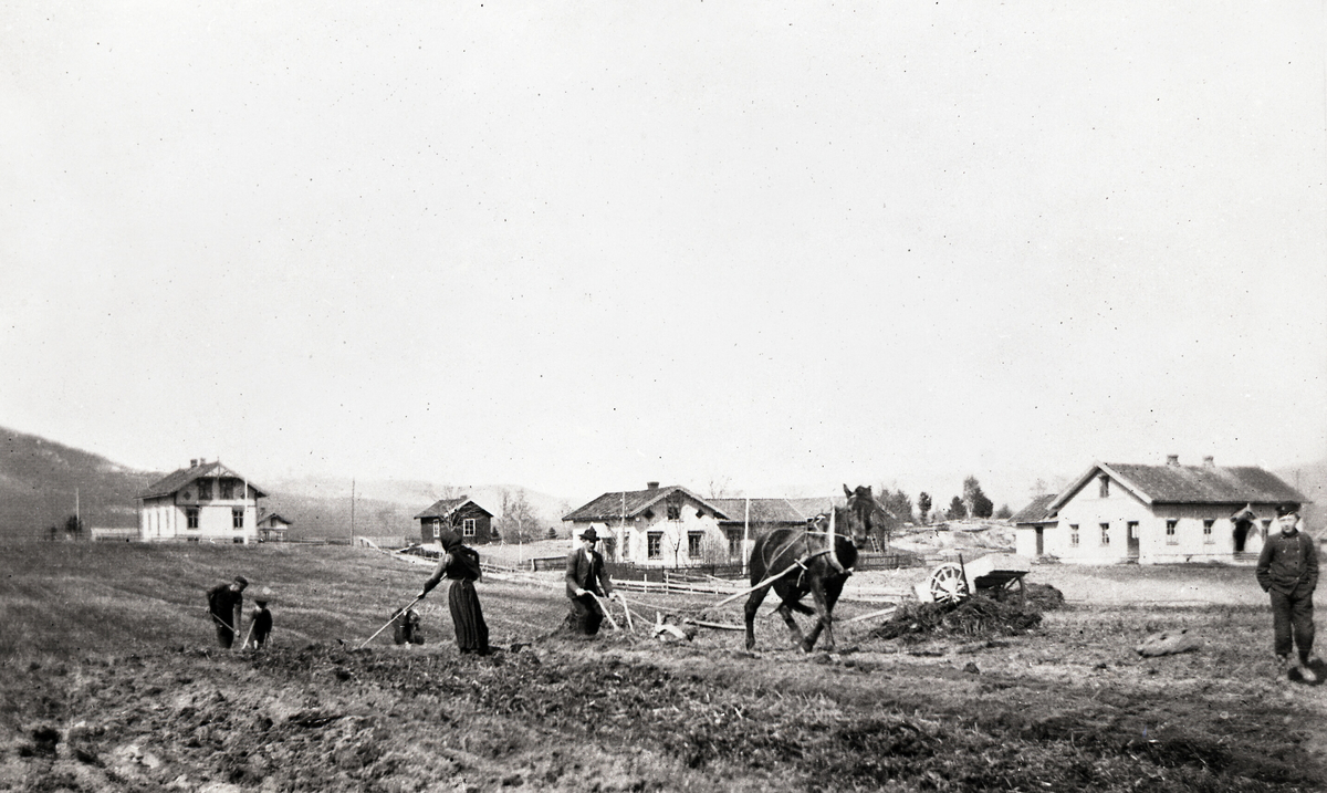 Jordbruksarbeid på Langskåshaugen i Bø