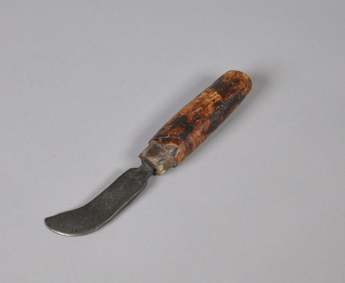 Bindsålekniv. Knivblad av jern, hvor spiss og deler av knivblad krummer opp. Håndtak av valbjørk, med manglende holk.