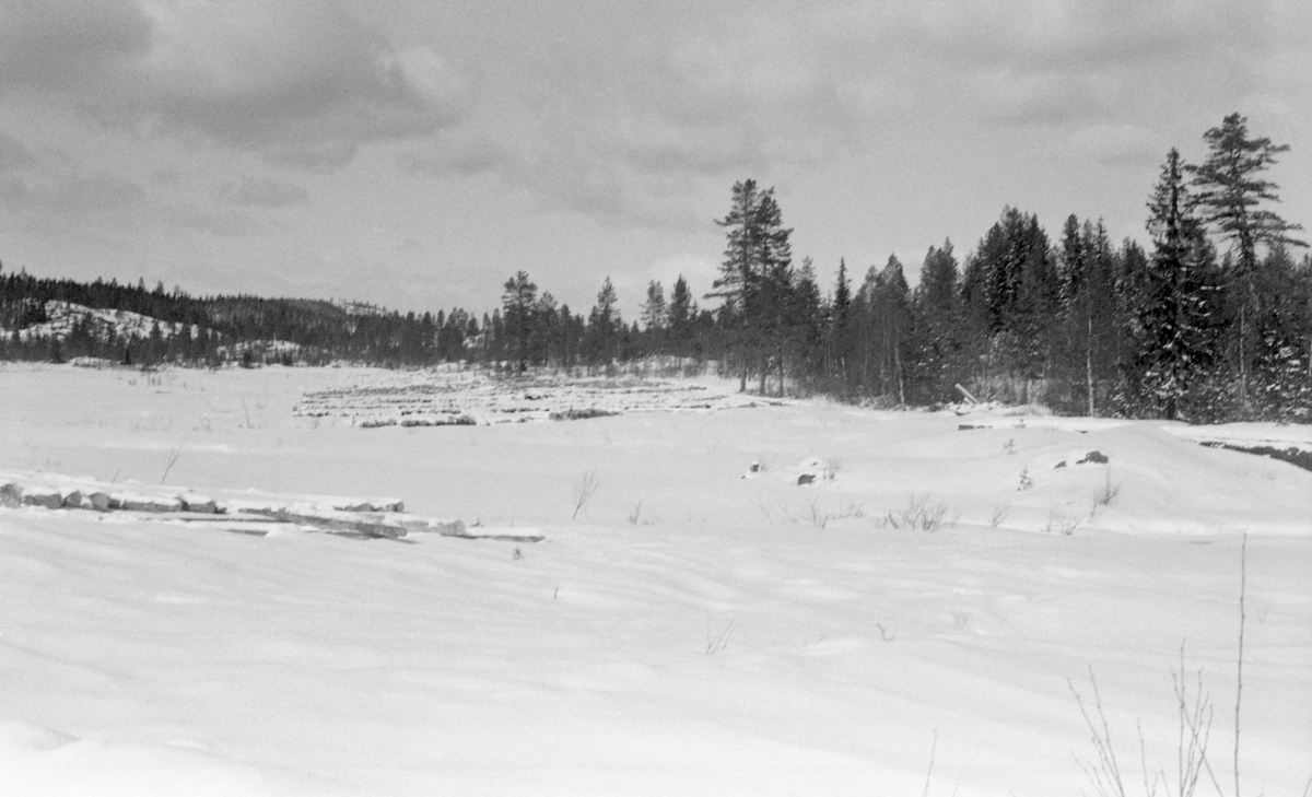 Oversiktsbilde over tilleggingsområdet for tømmer. Storfløtdammen i Gaukåa, Stange, Hedmark.