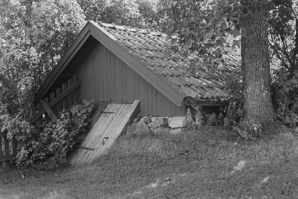 Källare, Bärby 4:1, Älvsby, Vänge socken, Uppland 1984