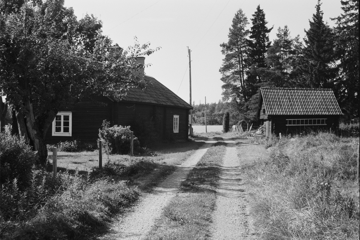 Bostadshus och bod, Fiby 1:6, Fiskartorp, Vänge socken, Uppland 1984
