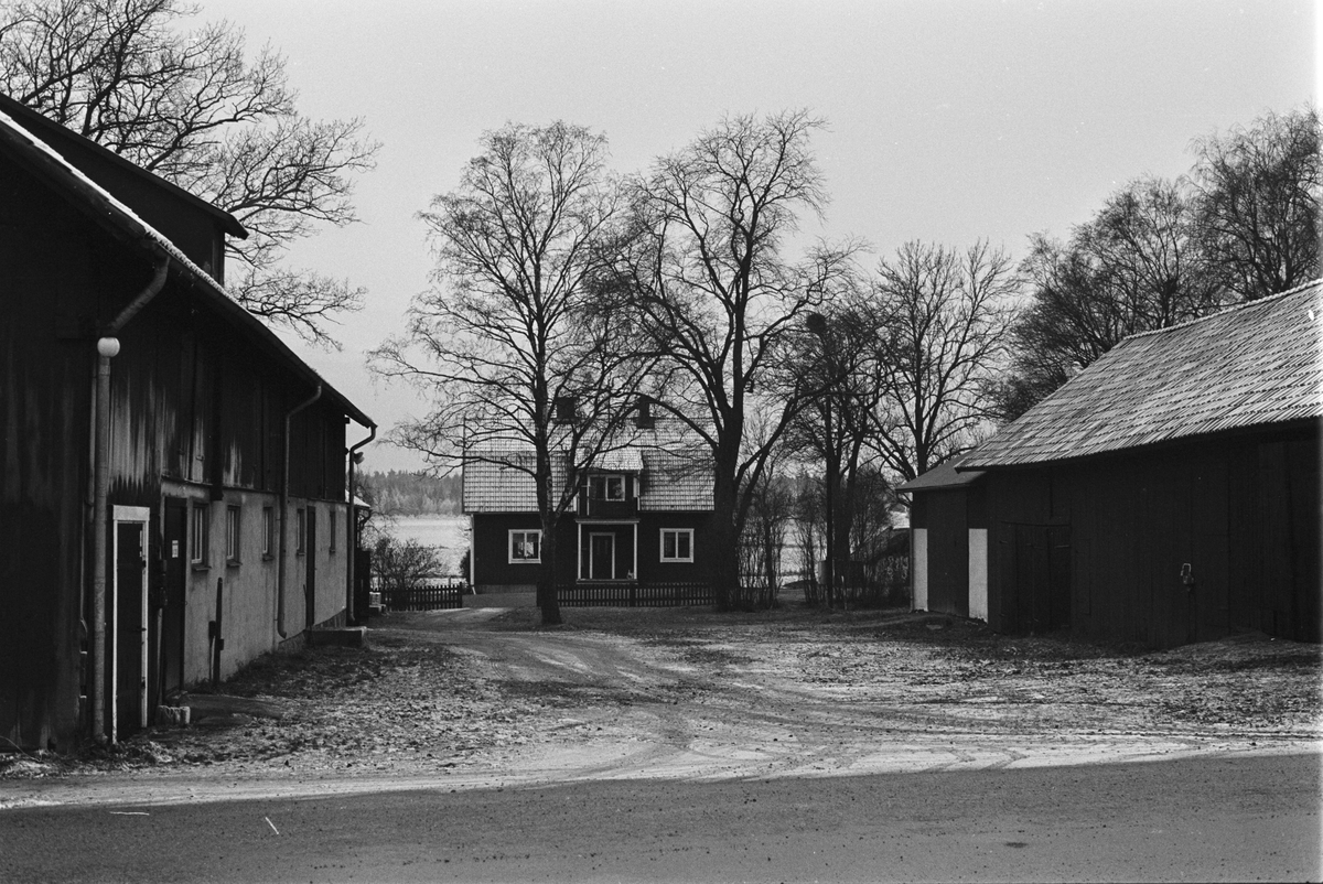Vy över Lörsta 2:1-5:1, Uppsala-Näs socken, Uppland 1984