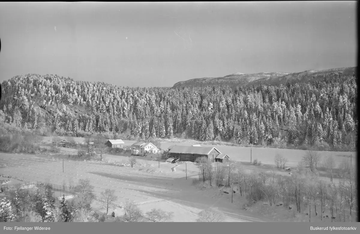 Gården Fetjar i Hole. Fekjærveien. 1959