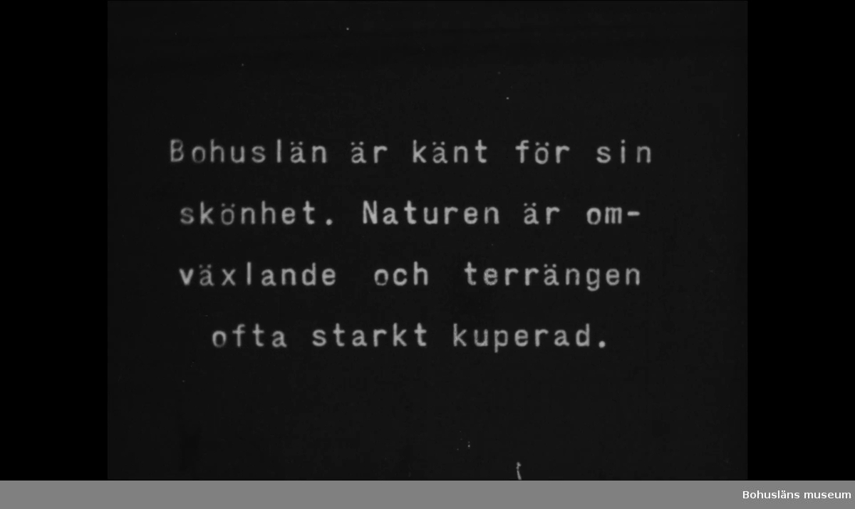 Kartonglock med påtryck:
AFO
FILMHJUL
Handanteckning i blyerts:
Bohuslän ett skogsland 

1950 16 mm