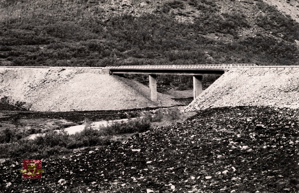 Skjæringsdalsæter bru på riksveg 15 Strynefjellsvegen. 

Brua er ei 87 meter lang lakkarmert bjelkebru i 3 spenn, som i fylgje Statens vegvesen sitt bruregister stod ferdig år 1977. 