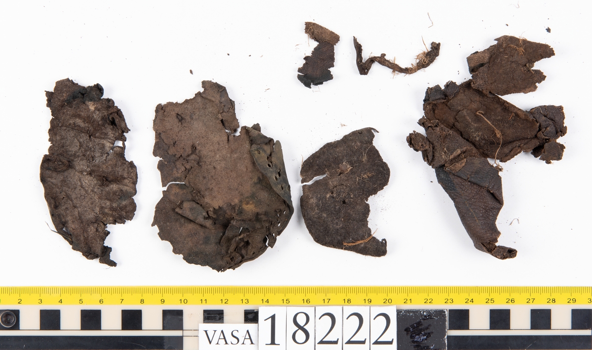 Ett 40-tal större och mindre fragment från sko. På några av fragmenten finns hål efter stygn. På vissa fragment har köttsidan släppt från narvsidan. Tillsammans med lädret ligger också ett mycket fuktigt, halmliknande material.