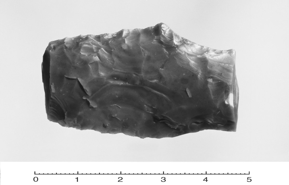 Fragment av flatehugget dolk av grå flint. Skulderpartiet st. l. 4,5 cm. Funnet på Ytre Hanken, gnr. 56, Ålesund, Møre og Romsdal