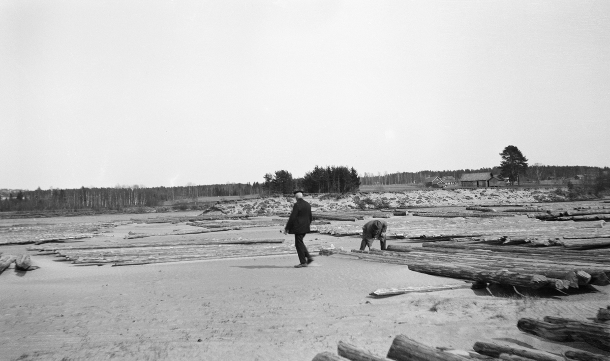 Tømmer i sand og vann. To personer. Glomma ved Eigsengkroken, Våler, Hedmark.