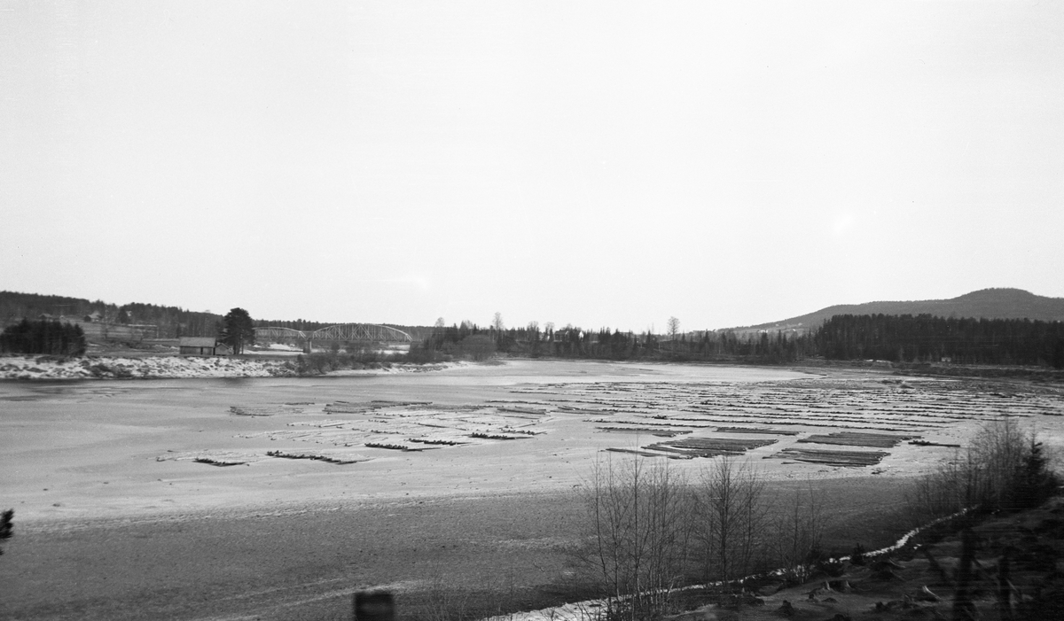 Tømmer i sand og vann. Hus i bakgrunnen. Glomma ved Eigsengkroken, Våler, Hedmark. Bru bak til venstre i bildet.