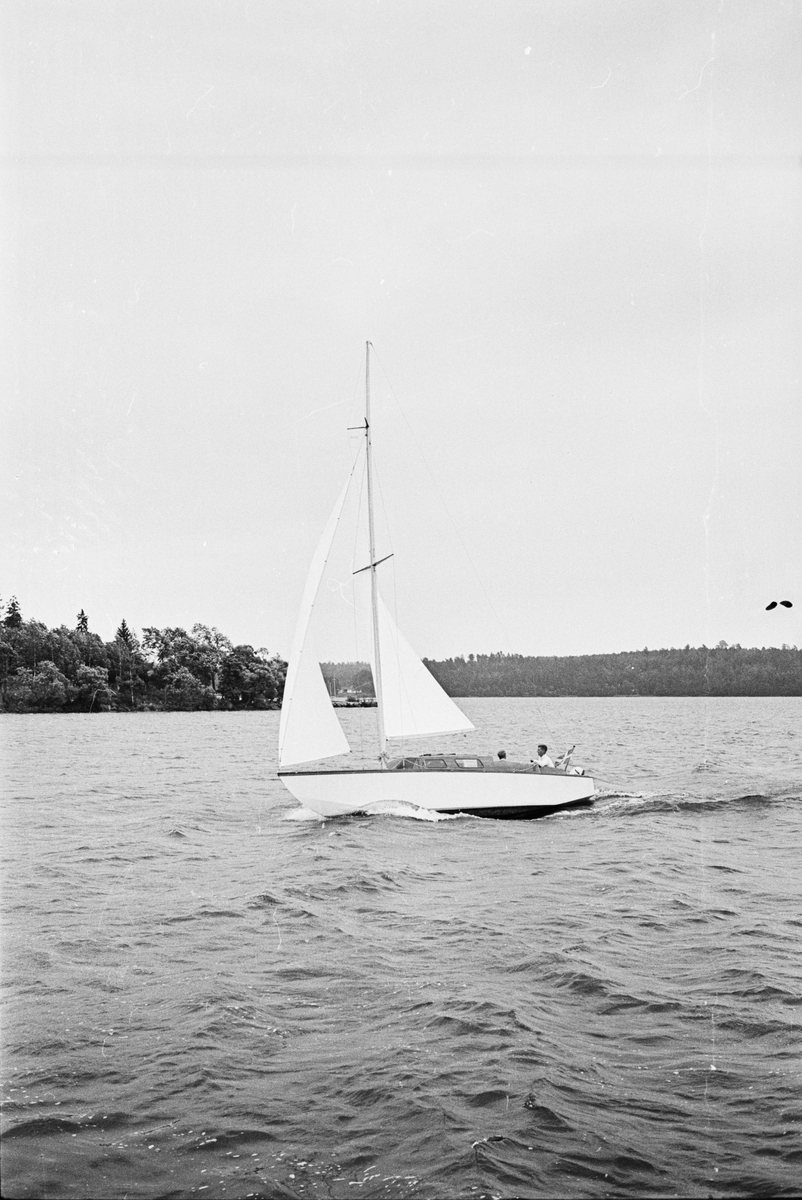 "Min båt, Thunderbirden", Uppsala 1965