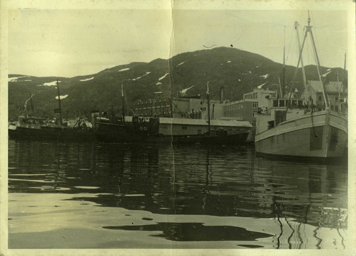 Båter i Hammerfest havn ved dampskipskaia. Findusfabrikken og Mollafjellet i bakgrunn.