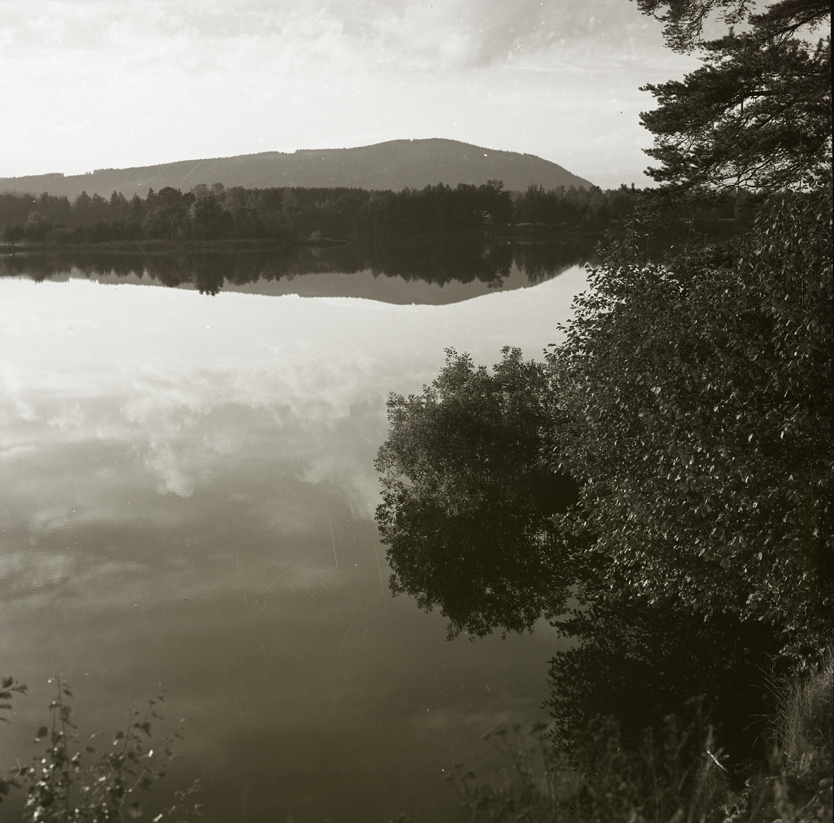 En vy över en spegelblank sjö med skog och berg i bakgrunden, 1980.