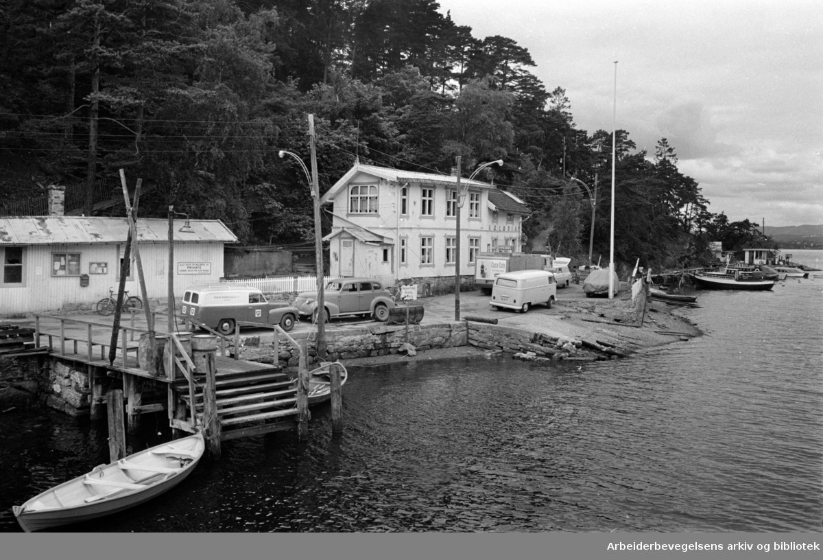 Malmøysund: Malmøya. Juli 1965