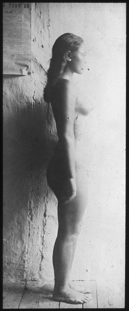 Bilden föreställer ett porträtt av en naken flicka i profil från vänster sidan. Enligt Etnografiska museets bildinformation heter hon Akata (född 1865-70).