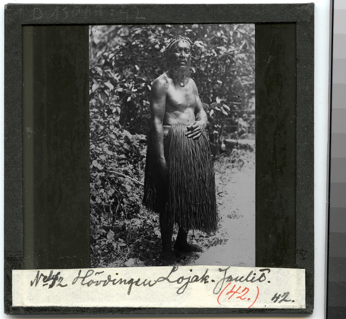 Bilden föreställer ett porträtt av hövdingen Lojak på Jaluit. Han är tatuerad och bär en bastkjol.