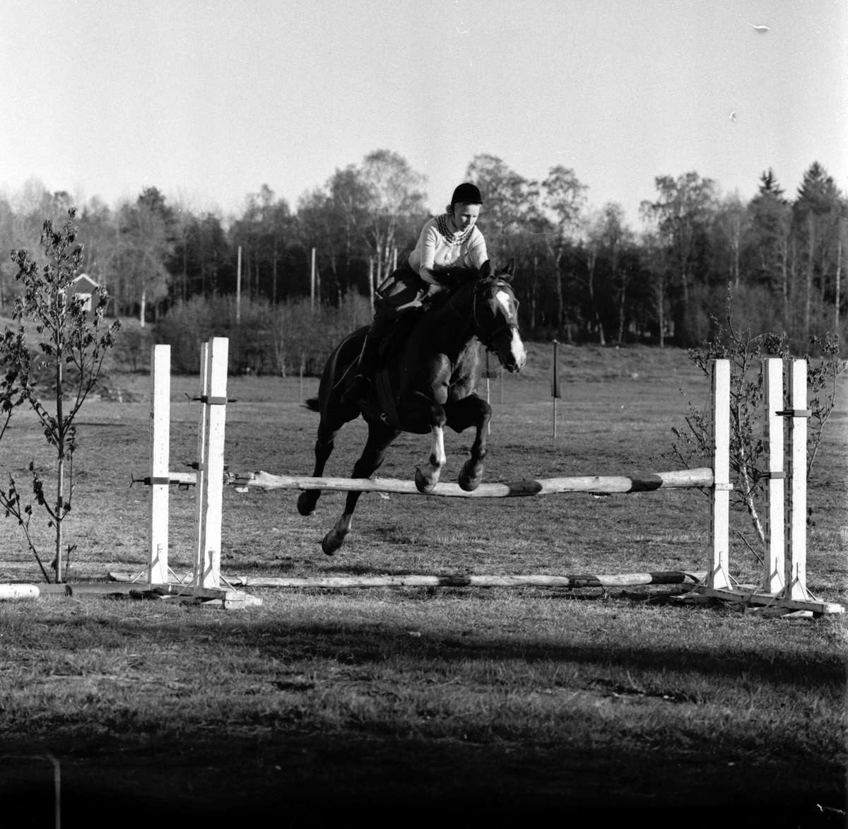 Gävle fältrittklubb arrangerar tävlingar i juni 1957.