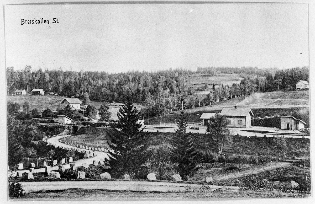 Breiskallen ca. 1910. Avfotografert postkort som er tatt fra riksvegen mot øst. Jernbanen i forgrunnen. I bakgrunnen de små brukene Bjerke og Nordby.