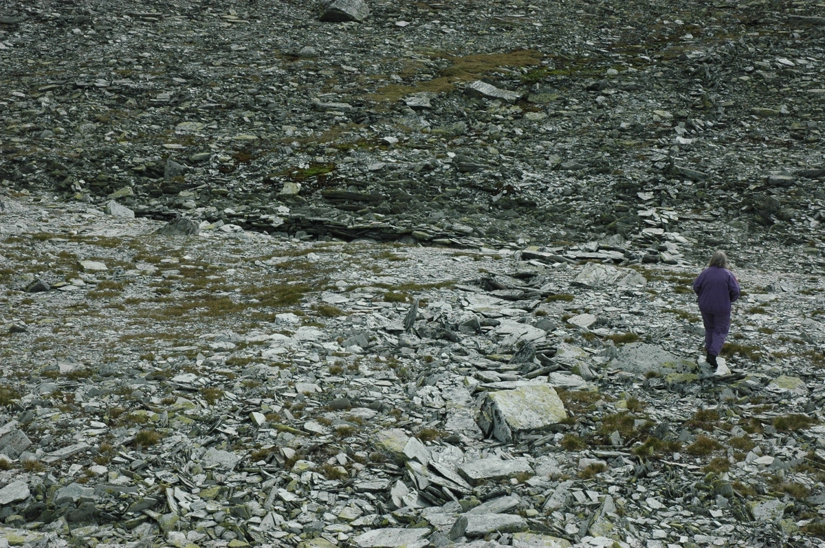 Dyregrav og massefangstanlegg i Gravskardet.