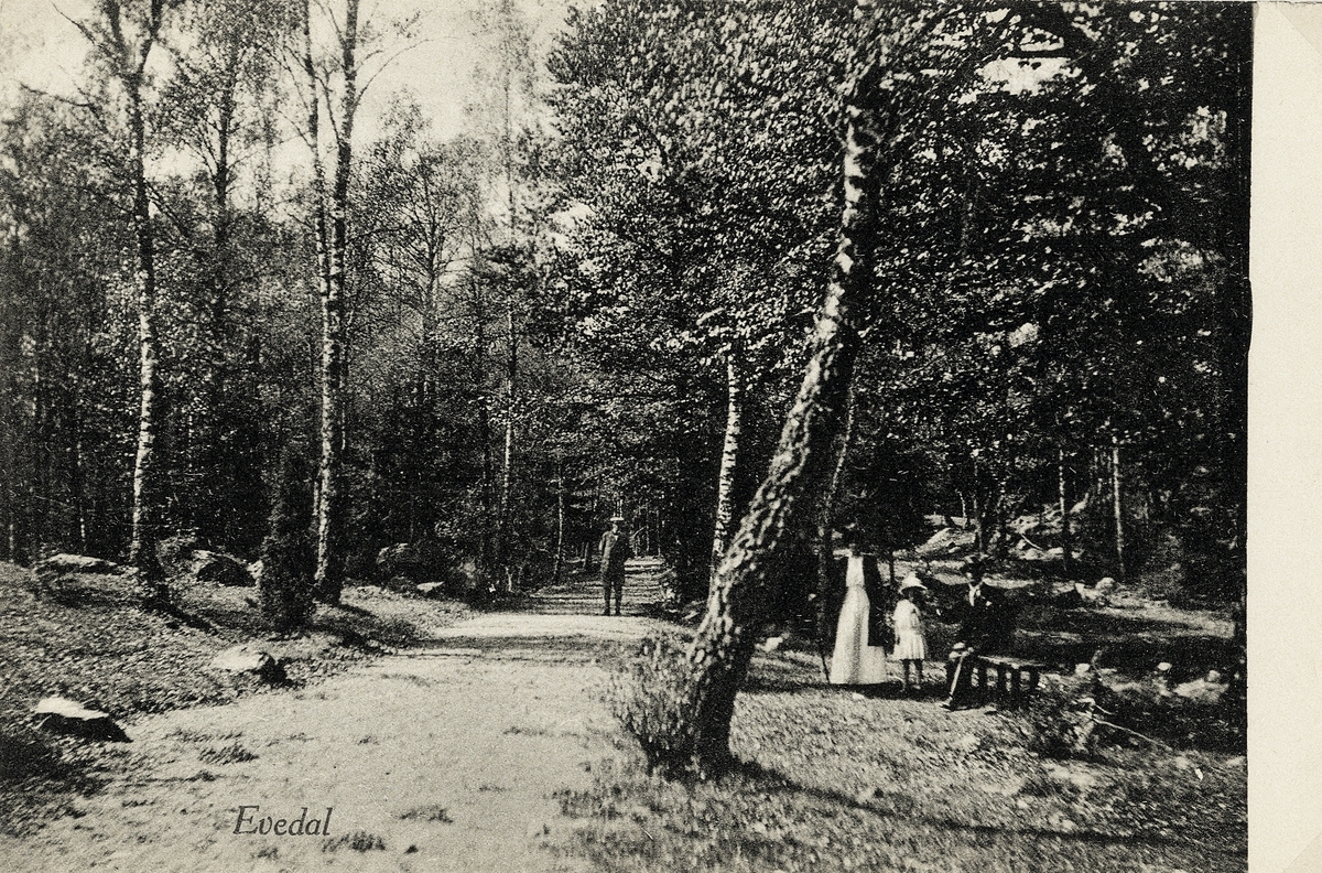 Evedal, Växjö, ca 1914. Några personer är på promenad.