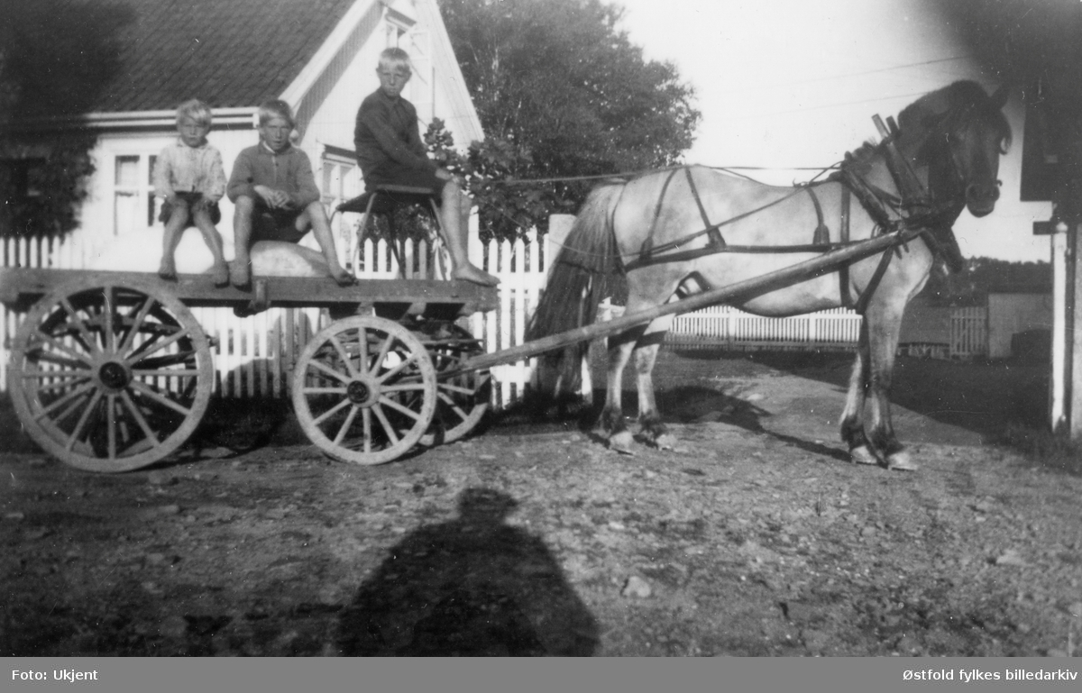 Gutter med kjøpmann Rambergs hest og vogn, 1932 i Ravneveien 33, Evje i Rolvsøy. Fra venstre: Bjarne Engebretsen, Tidemann Martinsen og Edgar Olsen Fjellheim. Bjarne og Tidemann sitter på melsekkene, mens det er Edgar, 12 år, som er kusk. Kjøpmann Ramberg fikk daglig leveranser av melk og brød med "Trippebåten" som klom fra Sellebakk. Guttene syntes det var stor stas å få kjøre med hest og vogn forbi verkene ned til Evje-brygga for å hente varene.