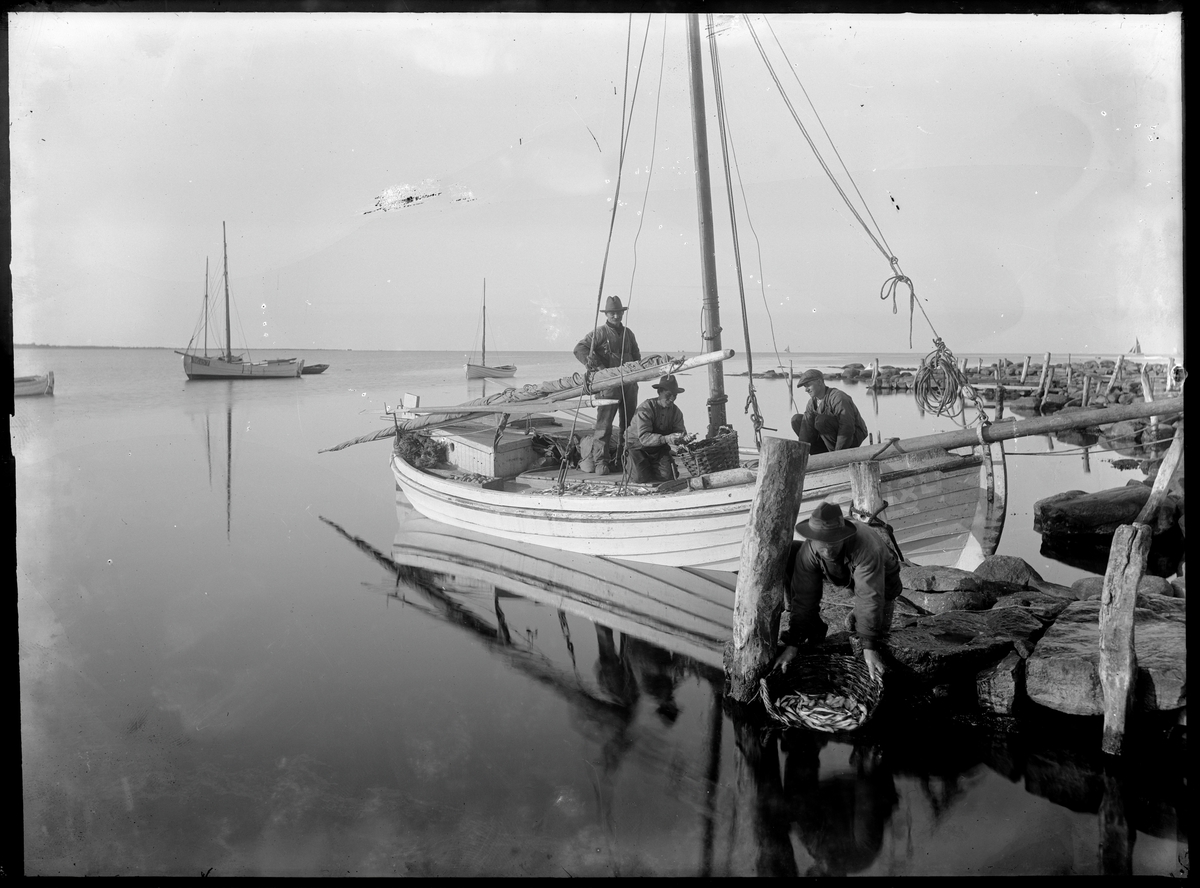 Fiskebåt i Hällevik