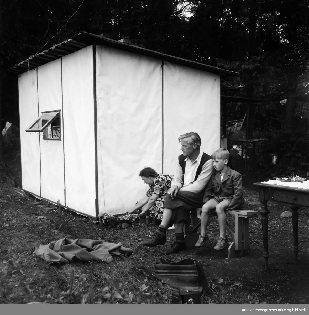 Georg Larsen og familie tilbringer sommerferien på Nordre Langåra i en 9 kvadratmeter stor papphytte. Juli 1954