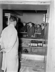 Vinmonopolets utsalg, Storgata 33. Interiør. Mai 1951