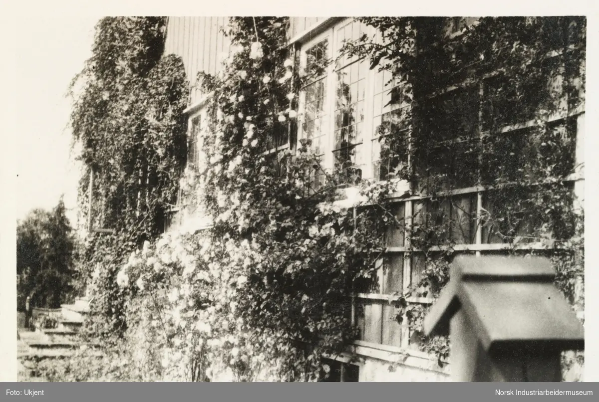 Huset på Gullia, Lysaker i 1925. Klatreplanter langs inngangsparti på bolighuset.