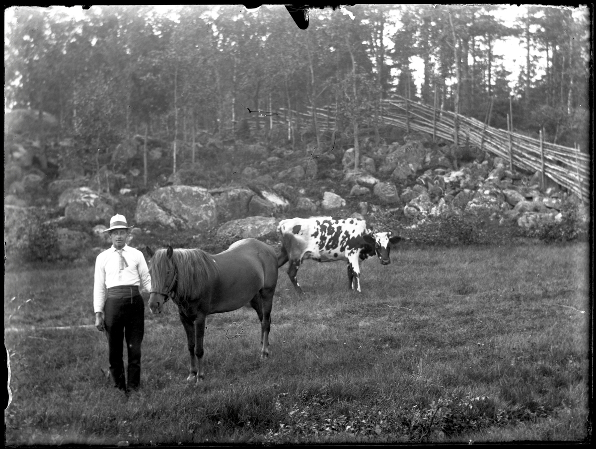 Hjalmar Johansson med häst