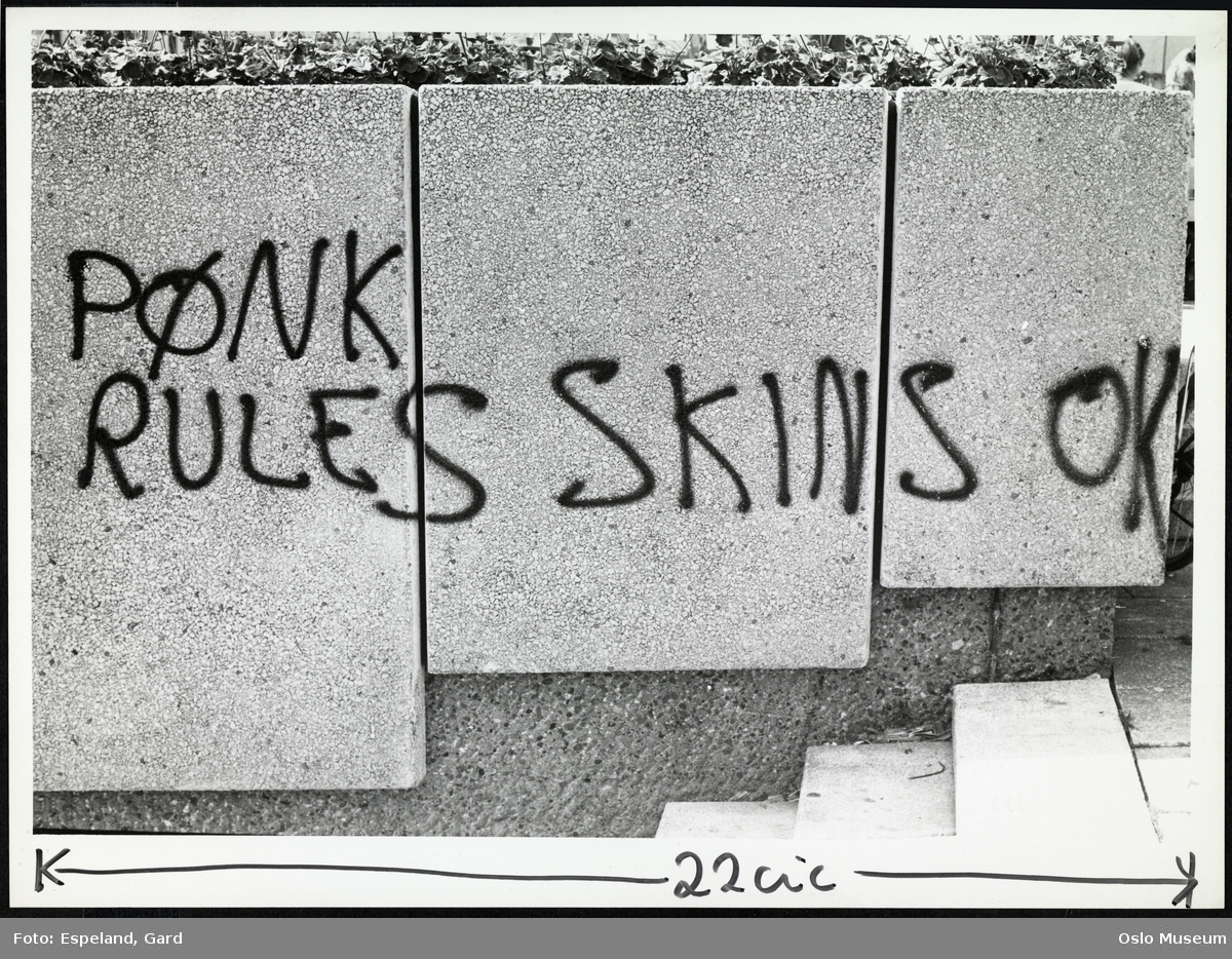 slagord malt på vegg: Pønk rules skins OK