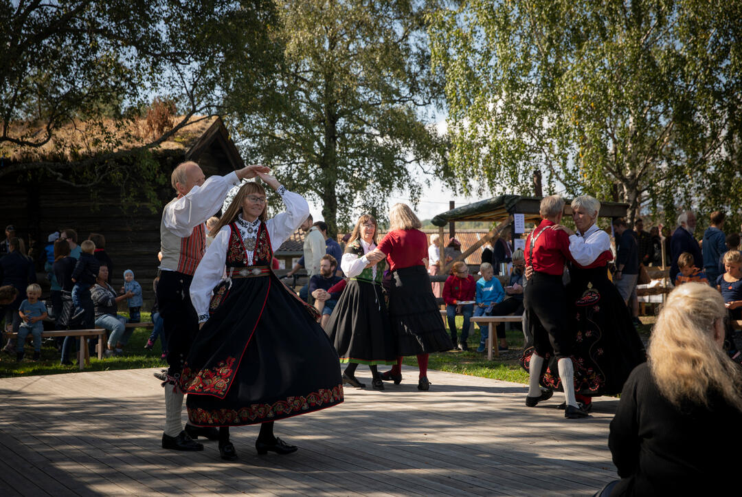 Dans på tunet (Foto/Photo)