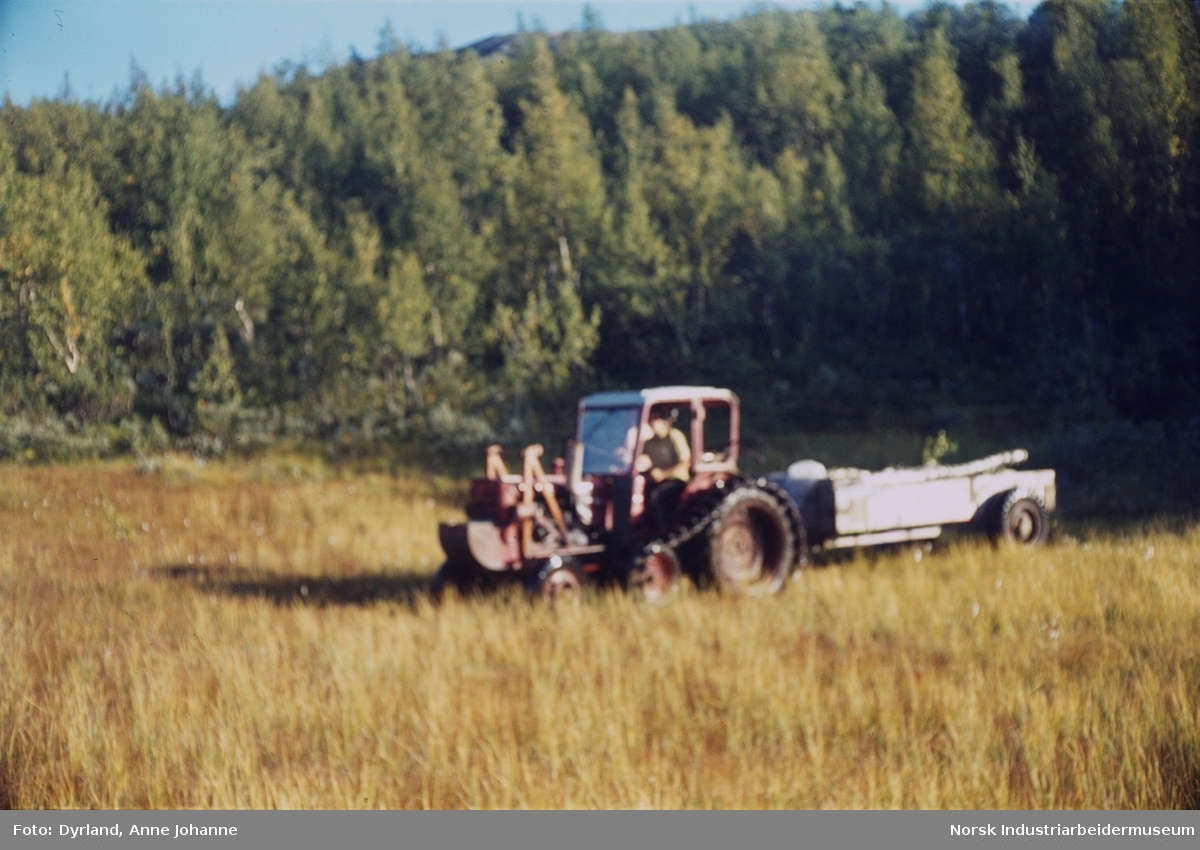 Traktor med belter frakter tømmer med henger over myrlandskap i Åmotsdal